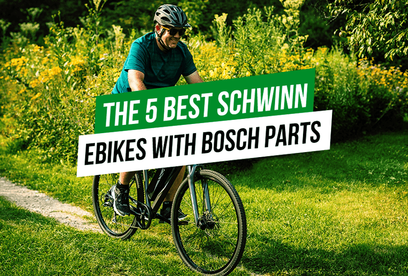 schwinn ec1